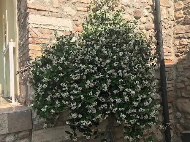Il Ghetto Farm Holiday Soiano Del Lago 0*,  Italien